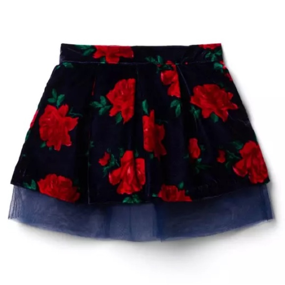 NWT Janie and Jack Rose Velvet Tulle Skirt | 2T